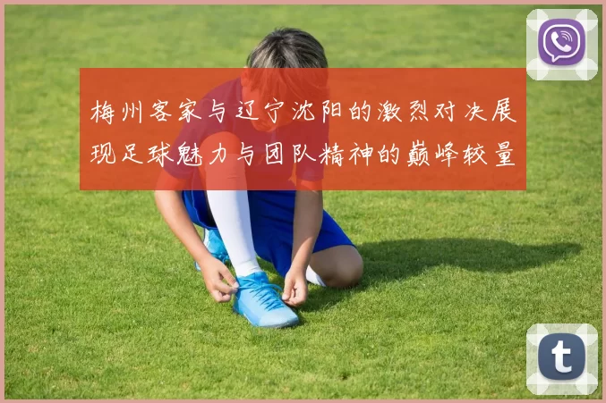 梅州客家与辽宁沈阳的激烈对决展现足球魅力与团队精神的巅峰较量