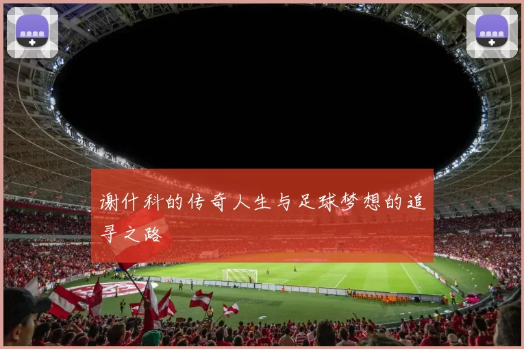 谢什科的传奇人生与足球梦想的追寻之路