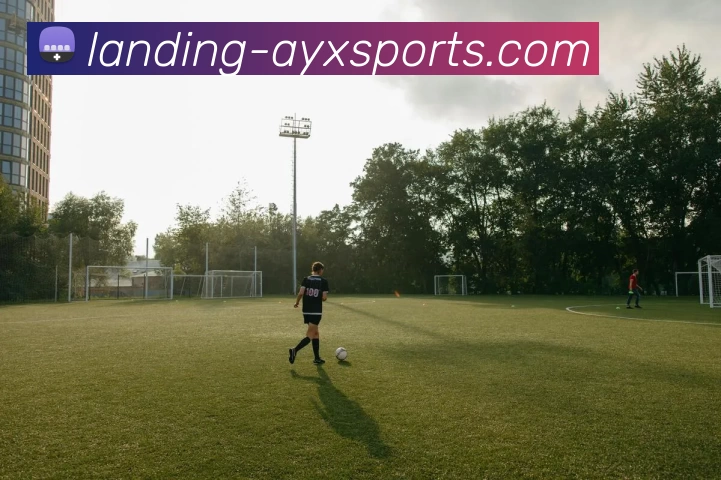 爱游戏APP 高清赛事图